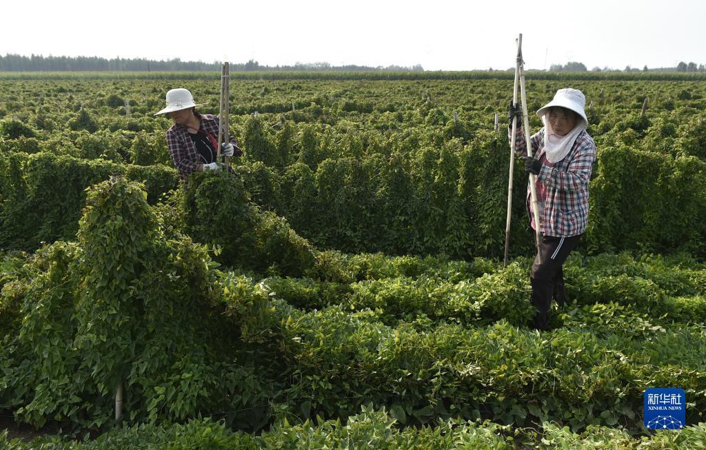 优游手机登录